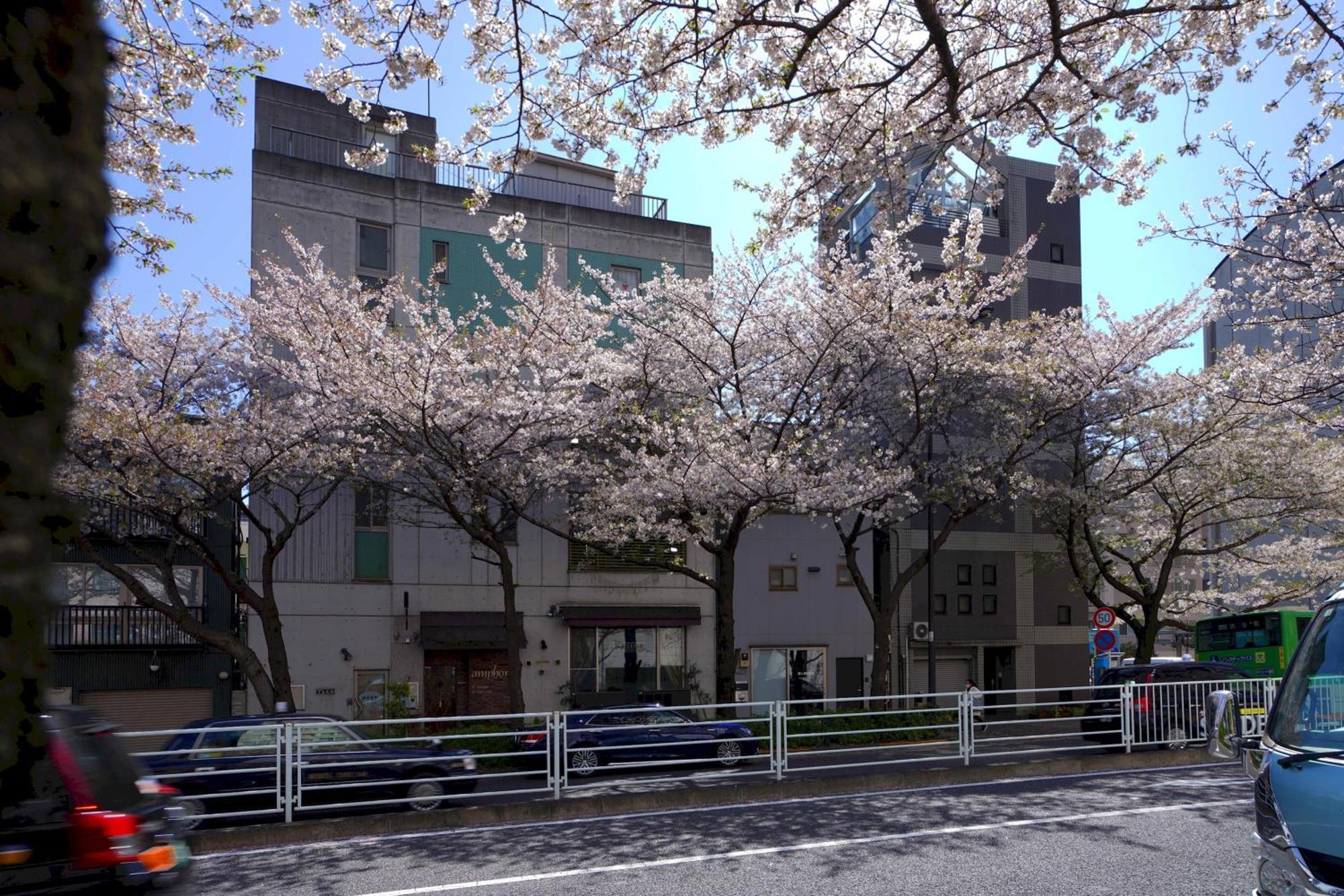 Appartamento Penthouse 1-bedroom Flat In Hiroo Shibuya *