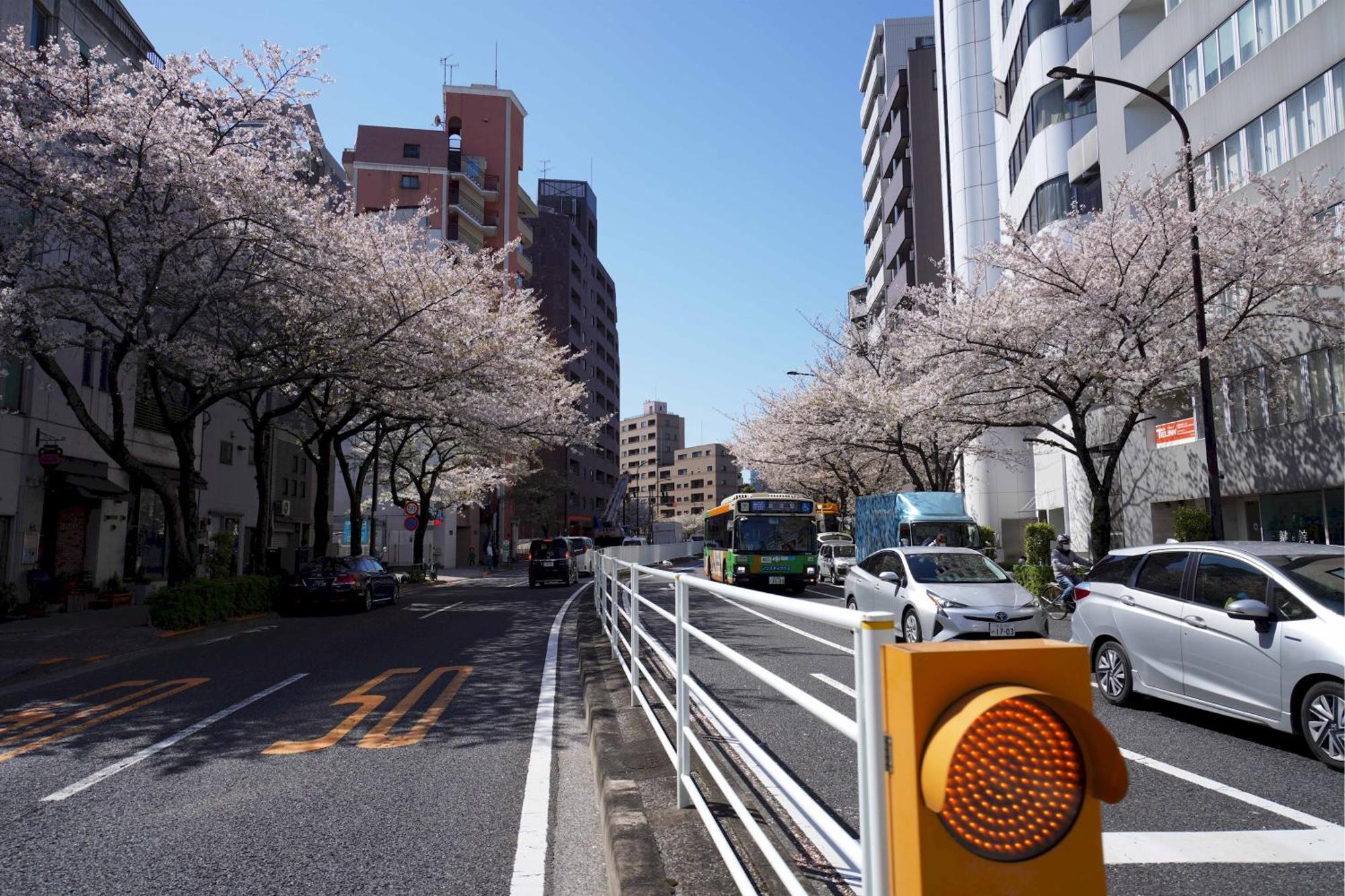 Penthouse 1-bedroom Flat In Hiroo Shibuya Appartamento *